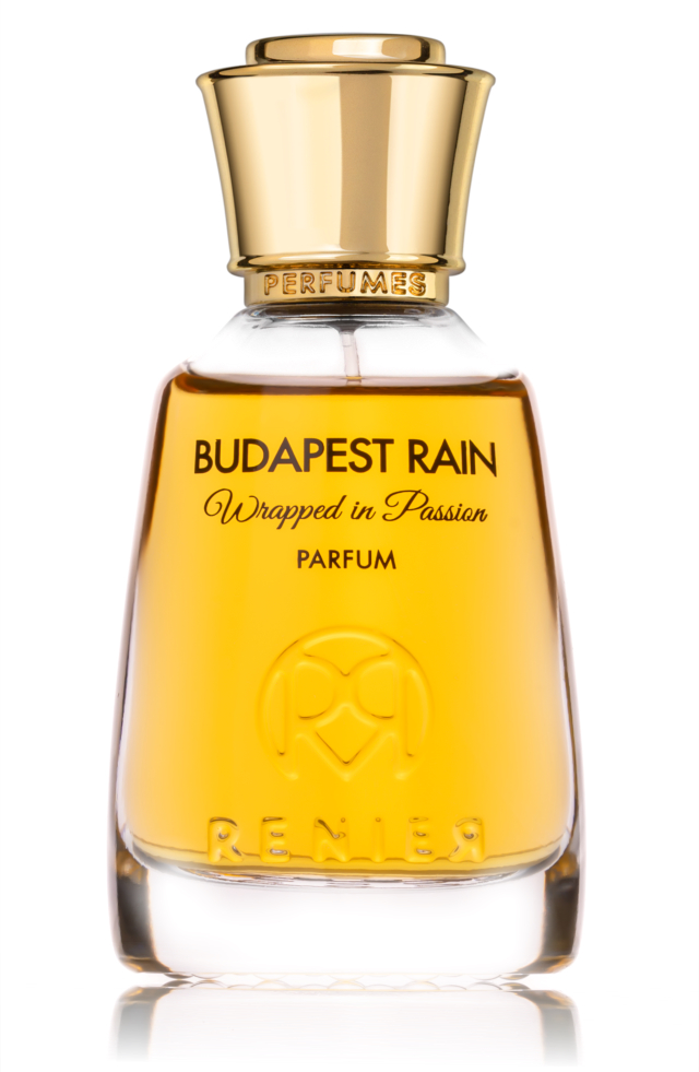 Budapest Rain